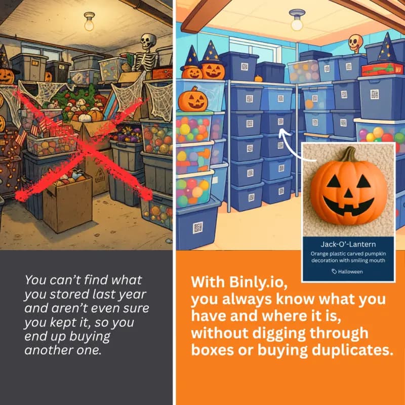 Binly social advertisement showing how labeled storage makes seasonal items easy to find